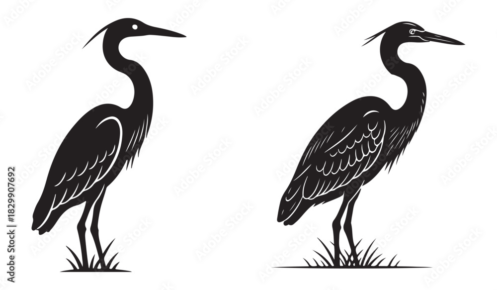 Naklejka premium Set of black crowned cranes, Heron bird detailed silhouette vector swamp wildlife art