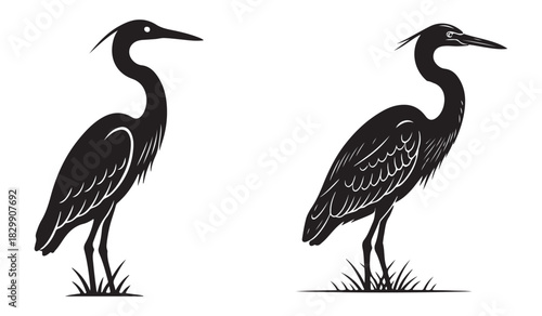 Set of black crowned cranes, Heron bird detailed silhouette vector swamp wildlife art