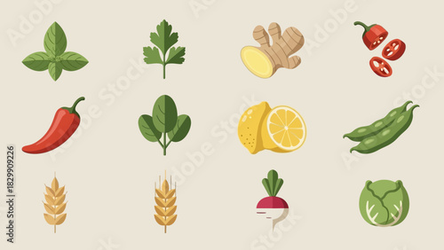 Assortment of Fresh Herbs, Spices, and Vegetables on a Light Background.
