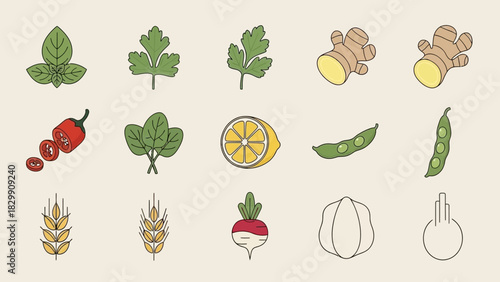 Assortment of Fresh Vegetables and Herbs Illustration.