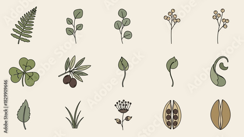 Collection of Hand Drawn Botanical Illustrations and Plant Elements.