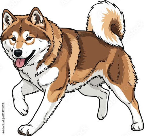 Hokkaido Inu dog energetic happy playful pose
