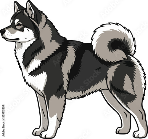 Hokkaido Inu dog standing side profile view vector illustration