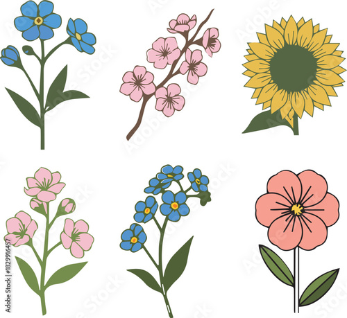 Set of six colorful flower illustrations for any design