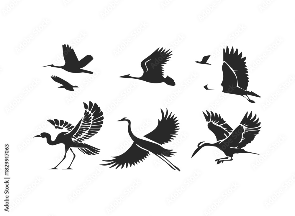 Obraz premium Bird migration icon set featuring goose swallow and crane