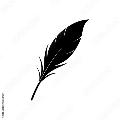 Illustration of a single black bird feather art on transparent background