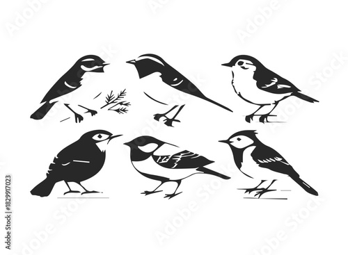 Cute forest birds icon set featuring chickadee and nuthatch