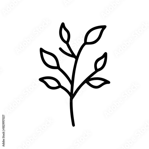 Simple line drawing of a leafy branch illustration on transparent background