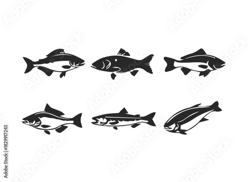 River fish icon set salmon trout carp catfish collection