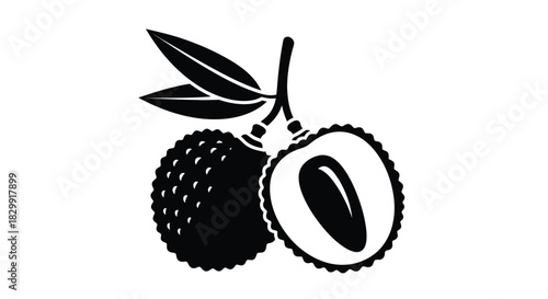 A black and white illustration of a rambutan fruit halved to show the seed