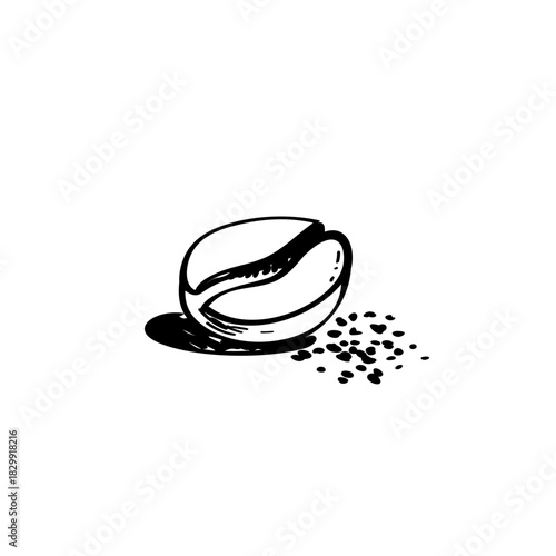 Coffee beans hand drawn vector illustrations	