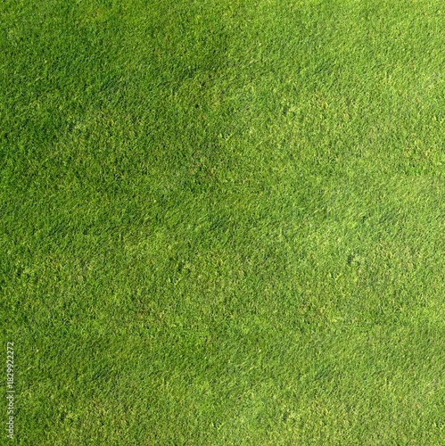 Fototapeta Naklejka Na Ścianę i Meble -  Green Grass Field Texture with Natural Lighting