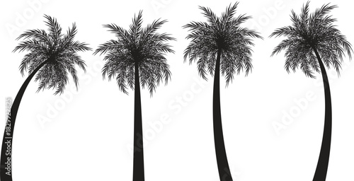 Tropical Palm Tree Silhouette Collection: Beach and Vacation Elements