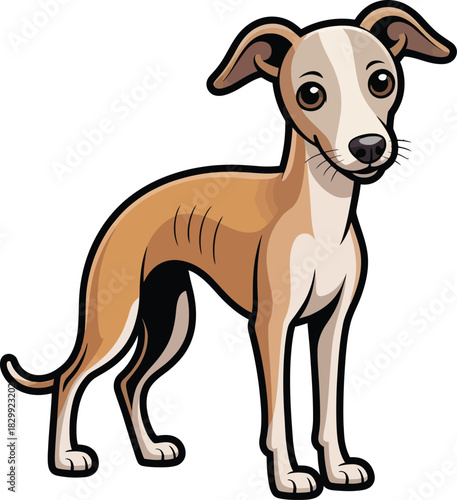 Cute cartoon a illustrator vector whippet