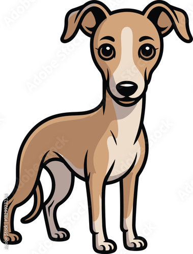 Cute cartoon a illustrator vector whippet