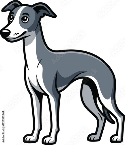 Cute cartoon a illustrator vector whippet