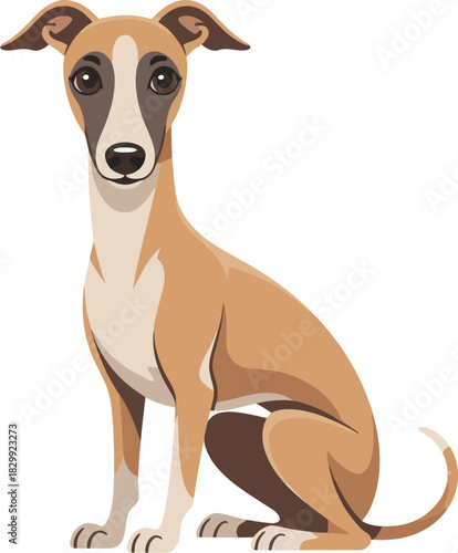Cute cartoon a illustrator vector whippet