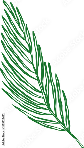 Simple Doodle Sketch of Biblical Palm Leaf Element