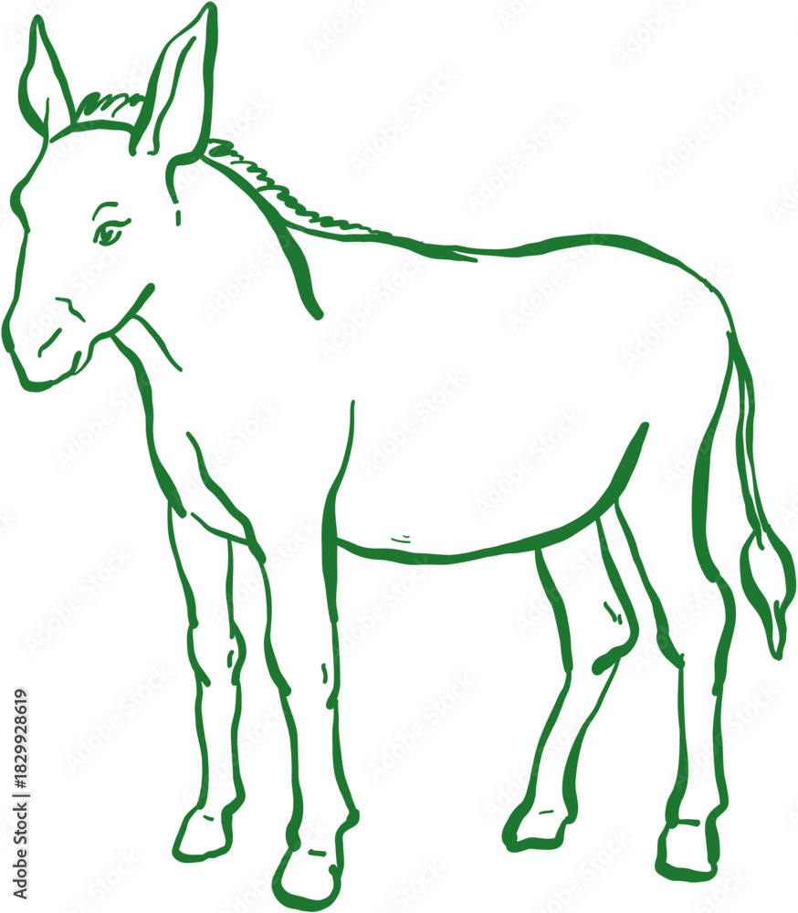 Fototapeta premium Biblical Doodle Sketch Donkey Animal from Bible
