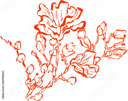 Simple Doodle Hand-Drawn Magnolia Tree Branch Sketch