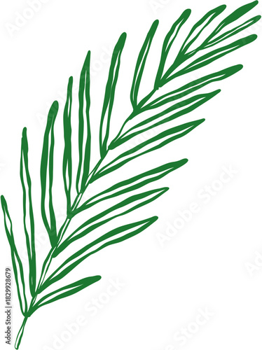 Doodle Sketch of Several Biblical Palm Leaves Outline