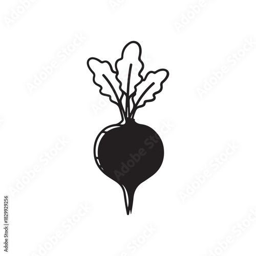 Beet root outline vector flat illustration design