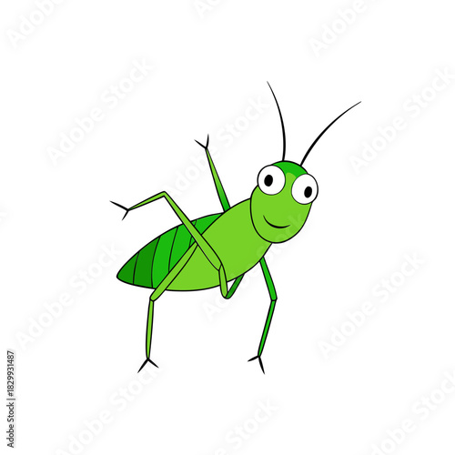 Vector Clip Art Grasshopper on White Background for Web and Graphic Design