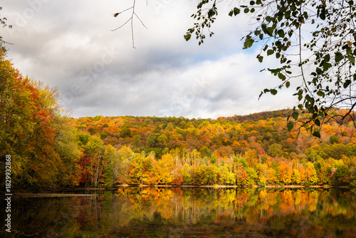 Ramapo Valley County Reservation in the Autumn