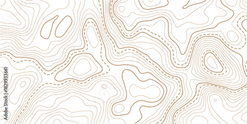 Topographic Contour Art in the Style of Classic Surveyor Maps with Rustic Linework, and a Strong Connection to Natural Geography.beautiful white and black contour topo wavy patten.