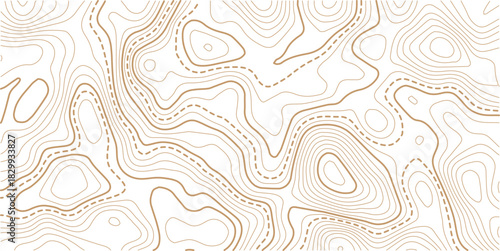 Topographic Contour Art in the Style of Classic Surveyor Maps with Rustic Linework, and a Strong Connection to Natural Geography.beautiful white and black contour topo wavy patten.
