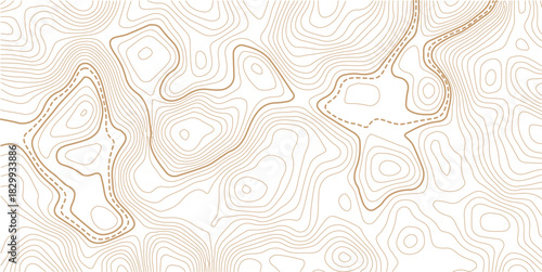  Modern design with White background with topographic wavy pattern design.Topographic gold luxury map background. Geographic abstract pattern.