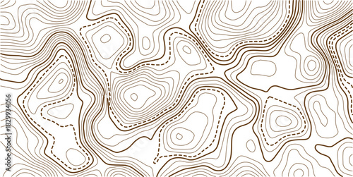 Topographic Contour Art in the Style of Classic Surveyor Maps with Rustic Linework, and a Strong Connection to Natural Geography.beautiful white and black contour topo wavy patten.