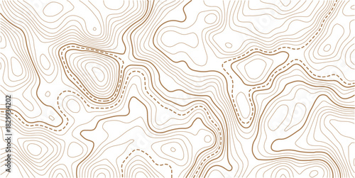Seamless Light topographic topo contour map background, vector illustration .Mountain trail terrain or path. Vector illustration.