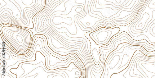  Topographic gold luxury map background. Geographic abstract pattern.The concept of a conditional geography scheme and contour line map image. 
