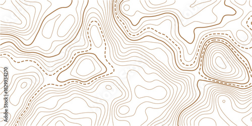 Seamless Light topographic topo contour map background, vector illustration .Topography Wavy Lines Pattern Modern Wide Abstraction.