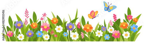 Spring meadow flower and grass. Floral border with leaves and hand drawn blooming flowers.