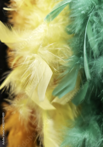 Decorative colored feathers