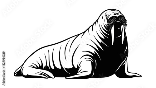 Majestic walrus graphic with bold tusk design ideal for wildlife projects and conservation awareness campaigns