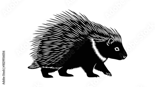 Quilled beauty, a porcupine illustration showcasing nature's protection and unique wildlife in a bold silhouette