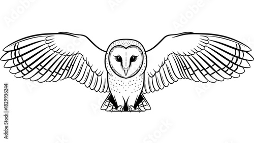 Majestic barn owl with outstretched wings, a striking vector design perfect for nature themes and wildlife projects