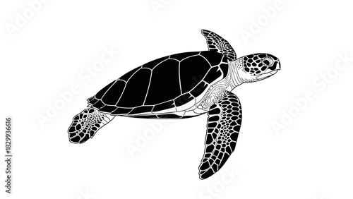 Elegant sea turtle illustration, a stunning marine animal artwork perfect for conservation projects and ocean themed designs