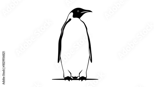 Majestic emperor penguin illustration standing alert, perfect for educational materials and wildlife projects