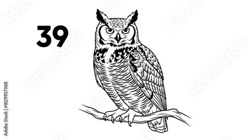 Majestic horned owl illustration in detailed black and white perched on a branch for wildlife projects