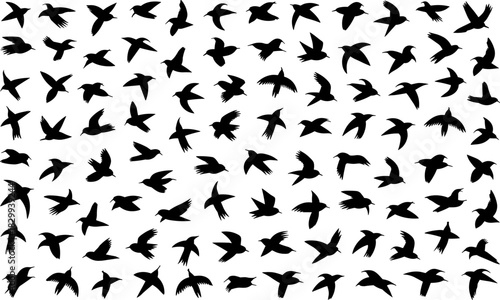 silhouettes of people