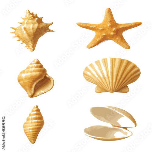 Collection of various natural seashells and a starfish arranged on a clean, perfect for summer and oceanthemed design projects, isolated on