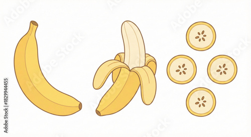 illustration of banana