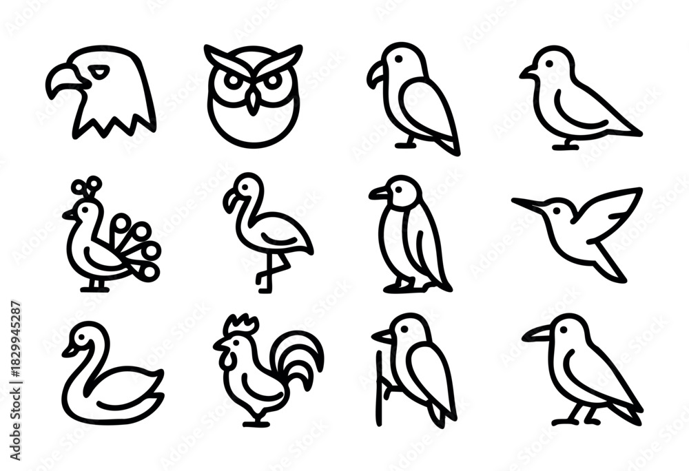 Fototapeta premium Set of bird icons in bold-line style: eagle, owl, parrot, dove, peacock, flamingo, penguin, hummingbird, swan, rooster, woodpecker, crow.