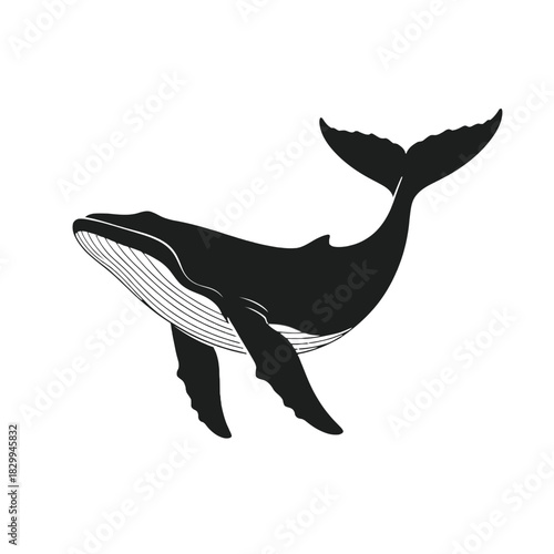 A striking black and white illustration of a majestic swimming whale