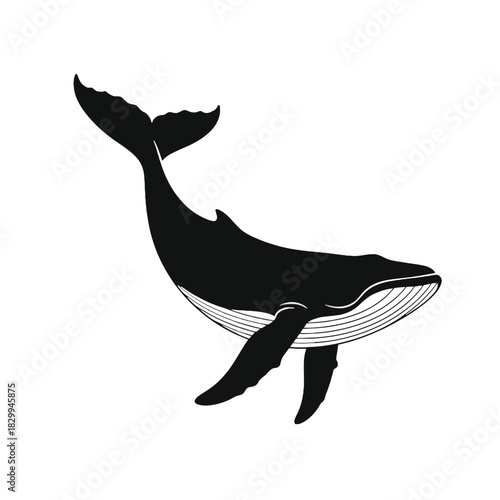 A striking black and white illustration of a breaching whale tail