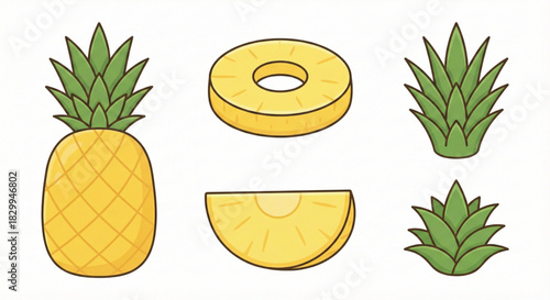 Pineapple set — whole pineapple, slice, ring, leaf crown variations.